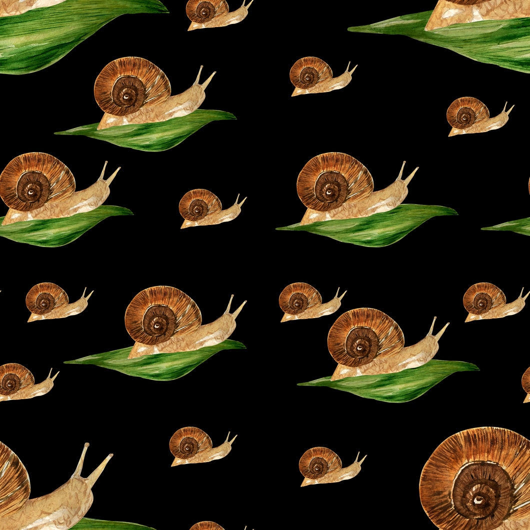 Snails SOFT SHELL