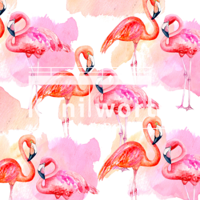 Flamingos COTTON LYCRA