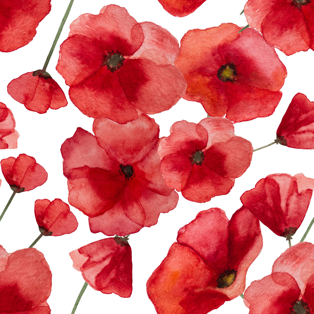 Red Poppies COTTON LYCRA